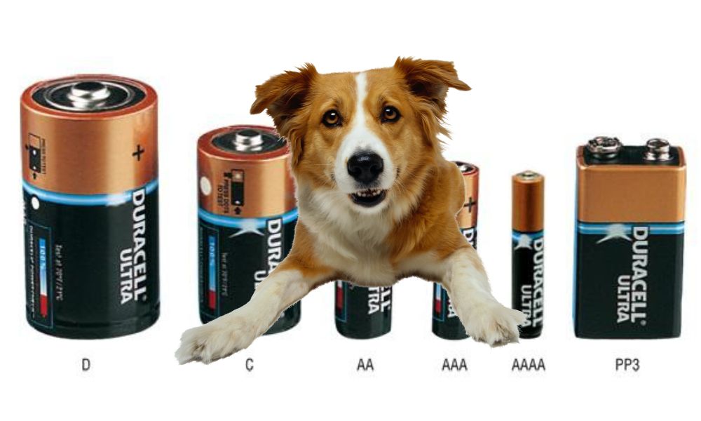 собака и батарейки